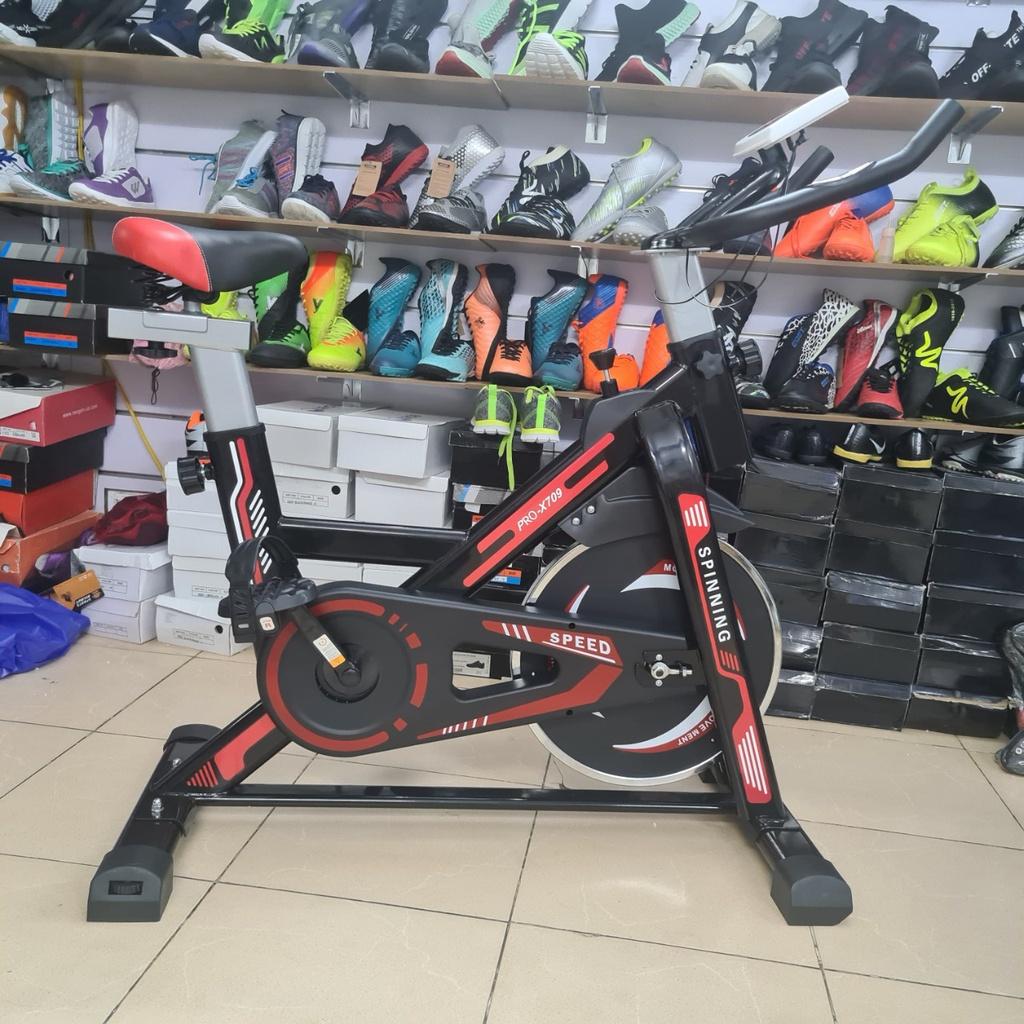 Xe đạp tập thể dục Pro Fitness Pro-X709 cao cấp tải 120 kg