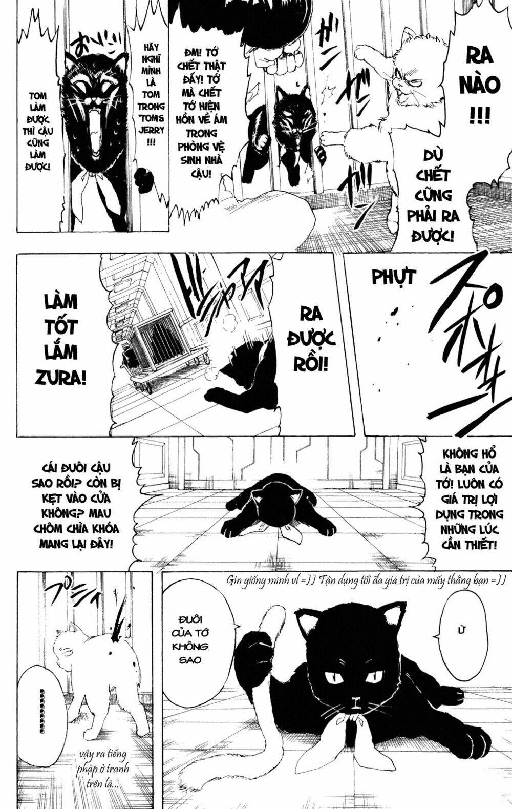 gintama - linh hồn bạc chapter 278 11