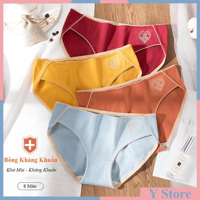 Quần Lót Sợi Bông Cotton Màng Kháng Khuẩn Cao Cấp - CC01
