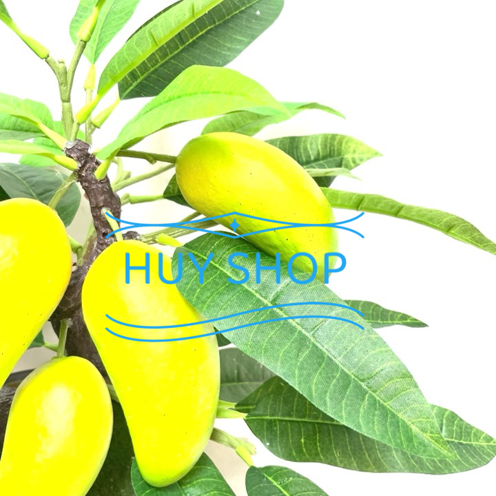 CHẬU CÂY TRÁI XOÀI NHÂN TẠO SỐ 4 TRANG TRÍ NHÀ CỬA