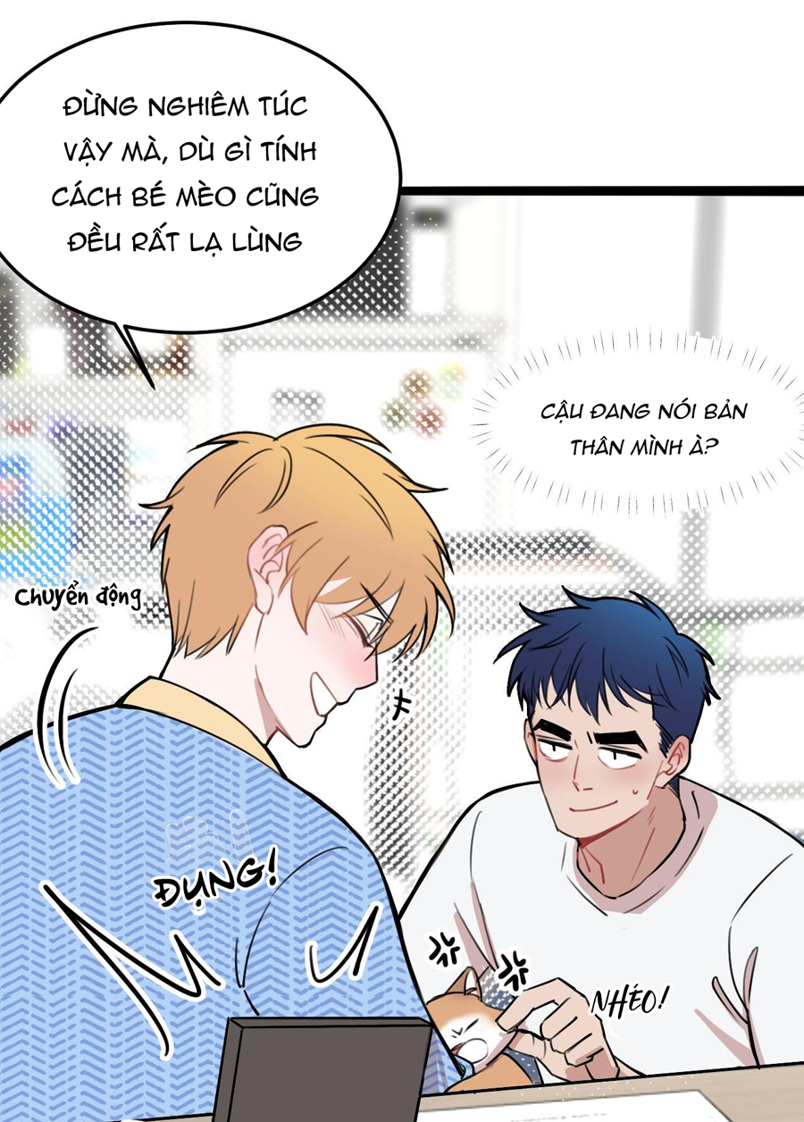 rốt cuộc bé mèo đang nghĩ gì ? chapter 11 20