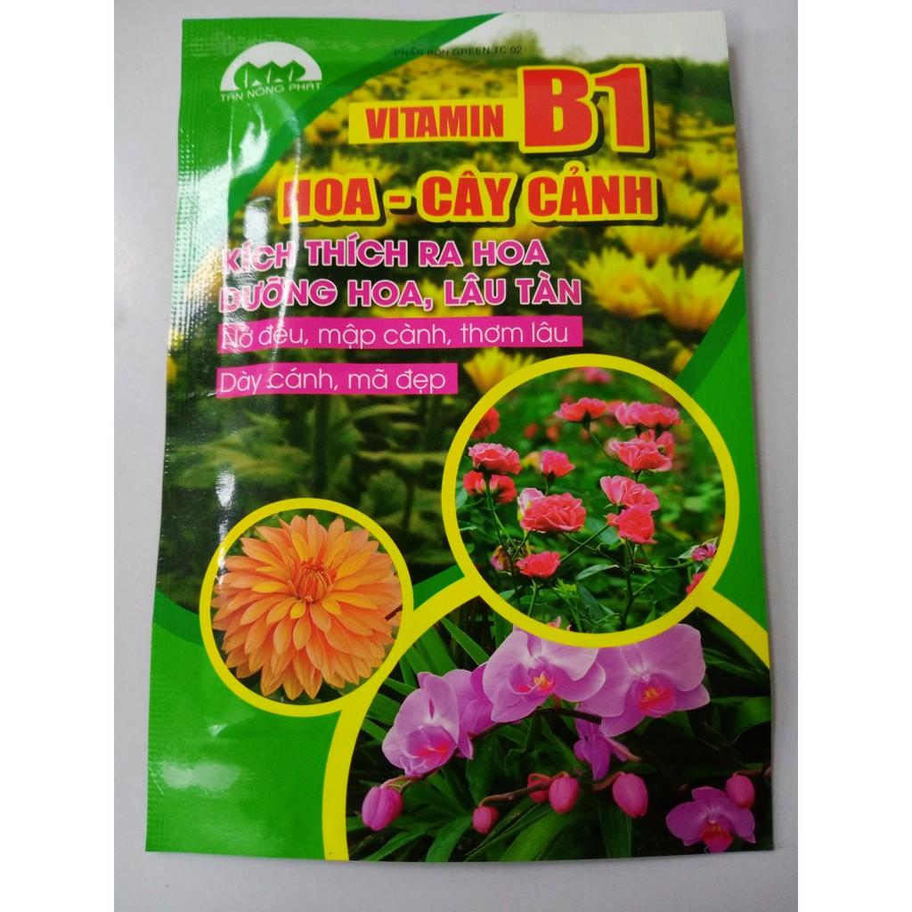 Phân Bón Vitamin B1 Cho Lan, Hoa Và Cây Cảnh