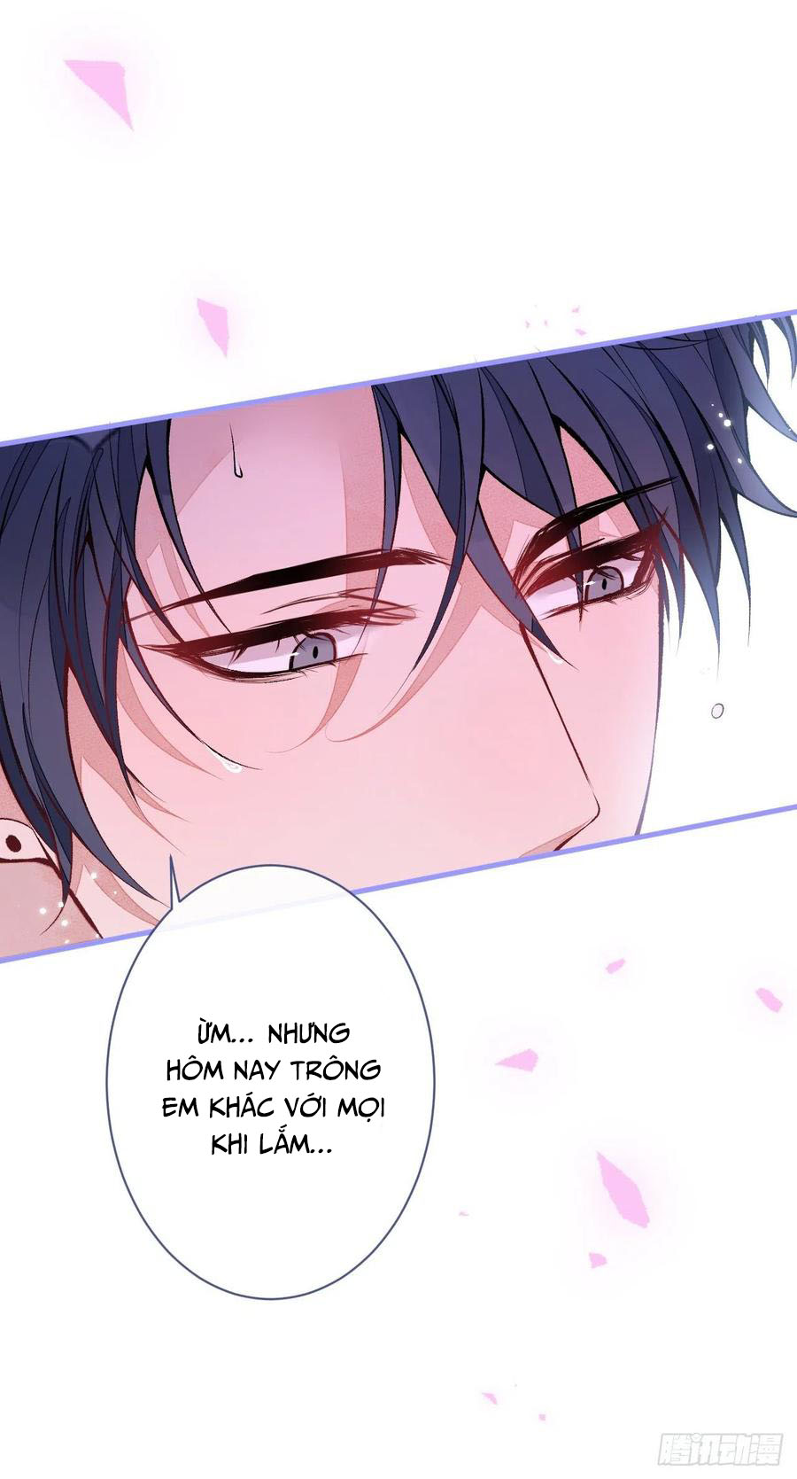 lại bị nam thần chọc trên hot search! chapter 118 23