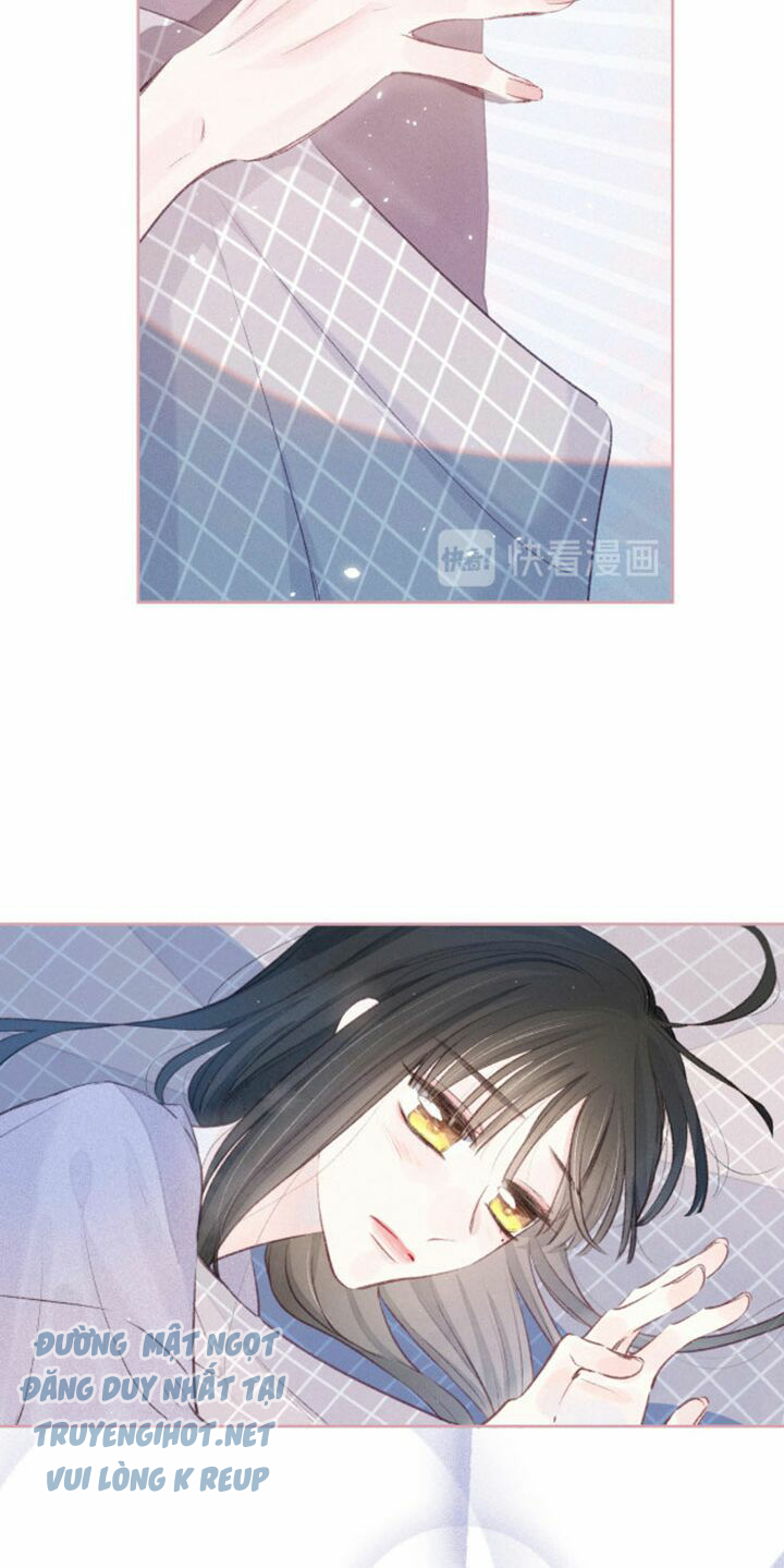 nỗi buồn của hoa cẩm tú cầu chapter 43 28