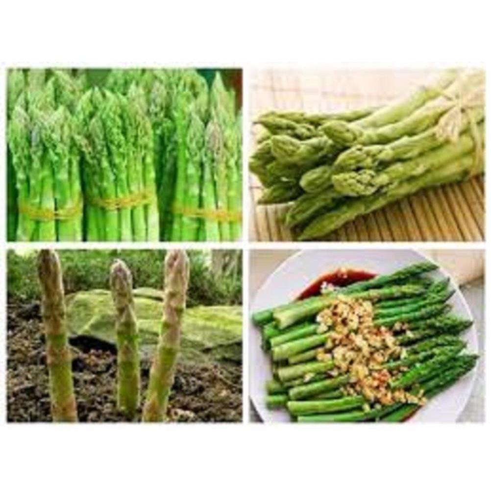 CÂY giống MĂNG TÂY- cây dễ sống - KINH TẾ và tác dụng tuyệt vời đối với sức khỏe