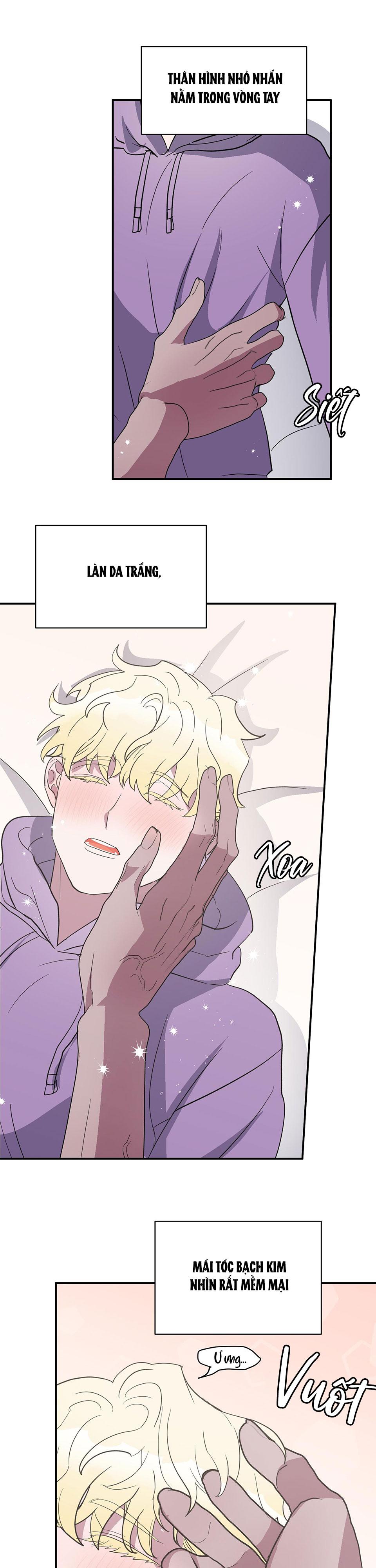 cá mập và cô dâu thỏ chapter 1 24