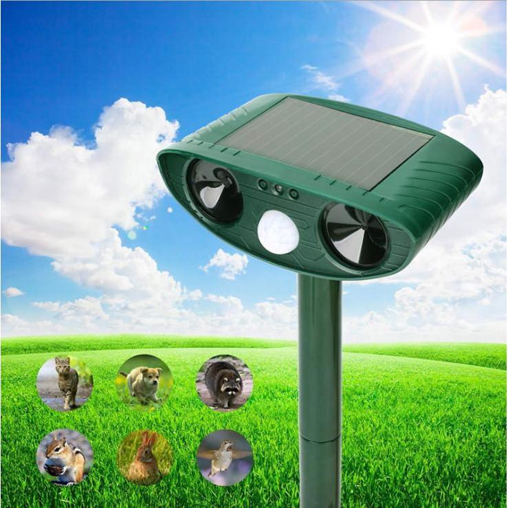 Repeller Solar - Máy đuổi chim, động vật thông minh đuổi cực nhạy