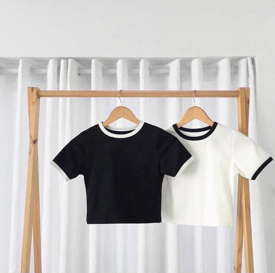 Áo Thun Croptop Nữ Body Viền