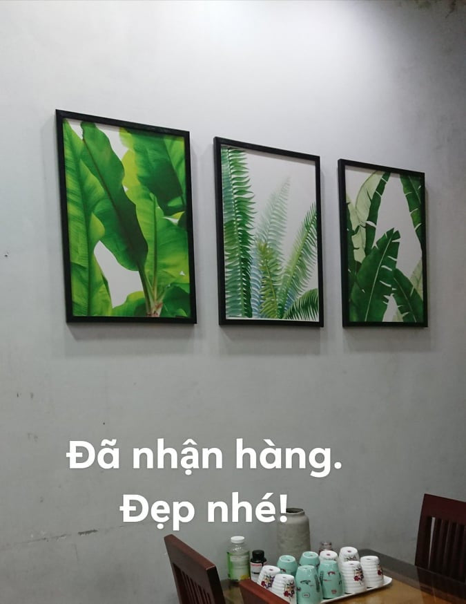 Tranh Canvas bộ 3 tranh Hoa, Lá,.. đã có khung, tặng móc treo