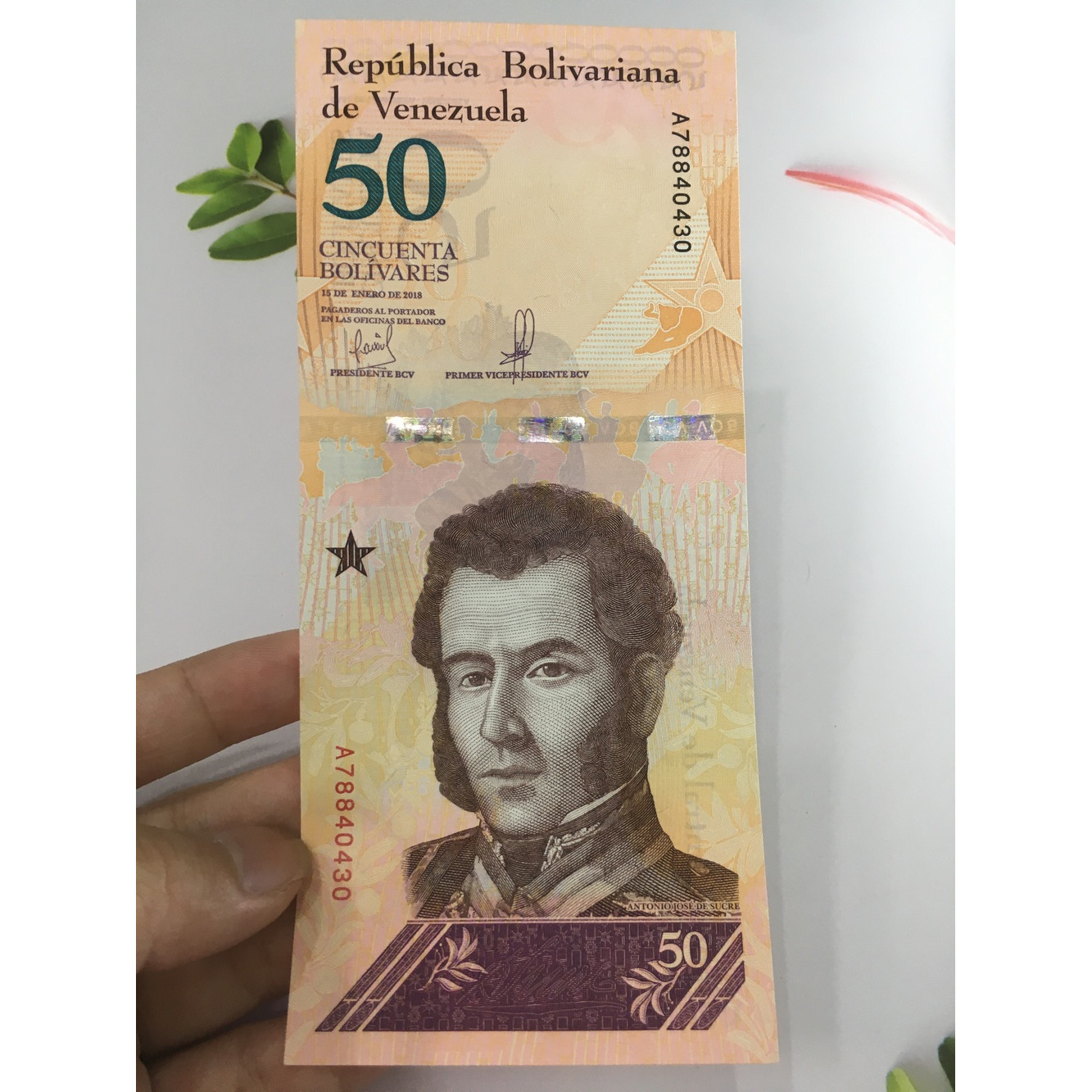 Tiền 50 Bolivares của Venezuela châu Mỹ hình con báo , tặng phơi nylon bảo quản tiền