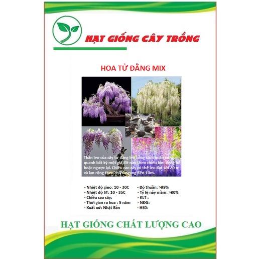 Hạt giống hoa tử đằng mix màu CT186 - Gói 5 hạt