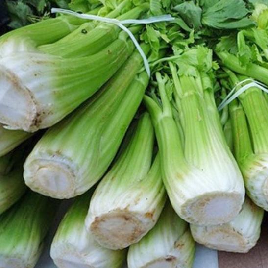 Combo 2 gói Hạt Giống Cần Tây Mỹ Bẹ To dể trồng f1-  gói 1gram-tặng kèm gói phân bón lót