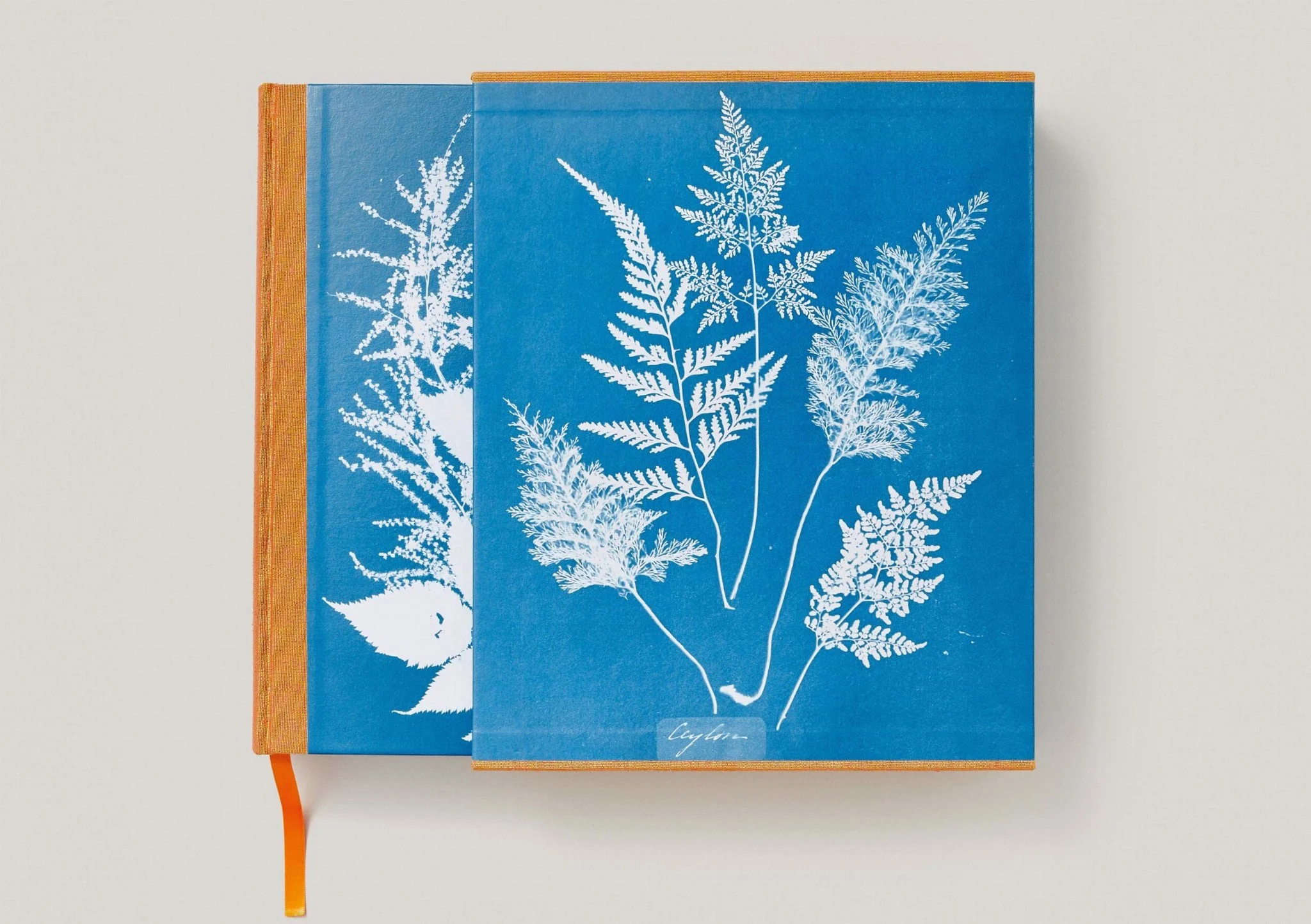 Artbook - Sách Tiếng Anh - Anna Atkins: Cyanotypes