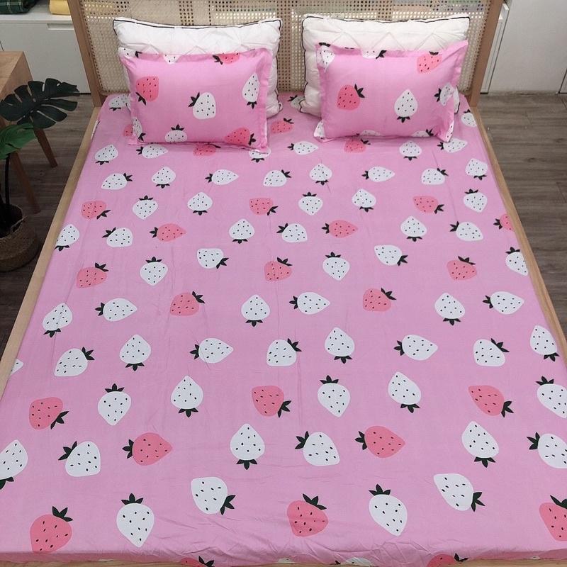 Bộ ga chun và 2 vỏ gối cotton poly mềm mịn được chọn mẫu