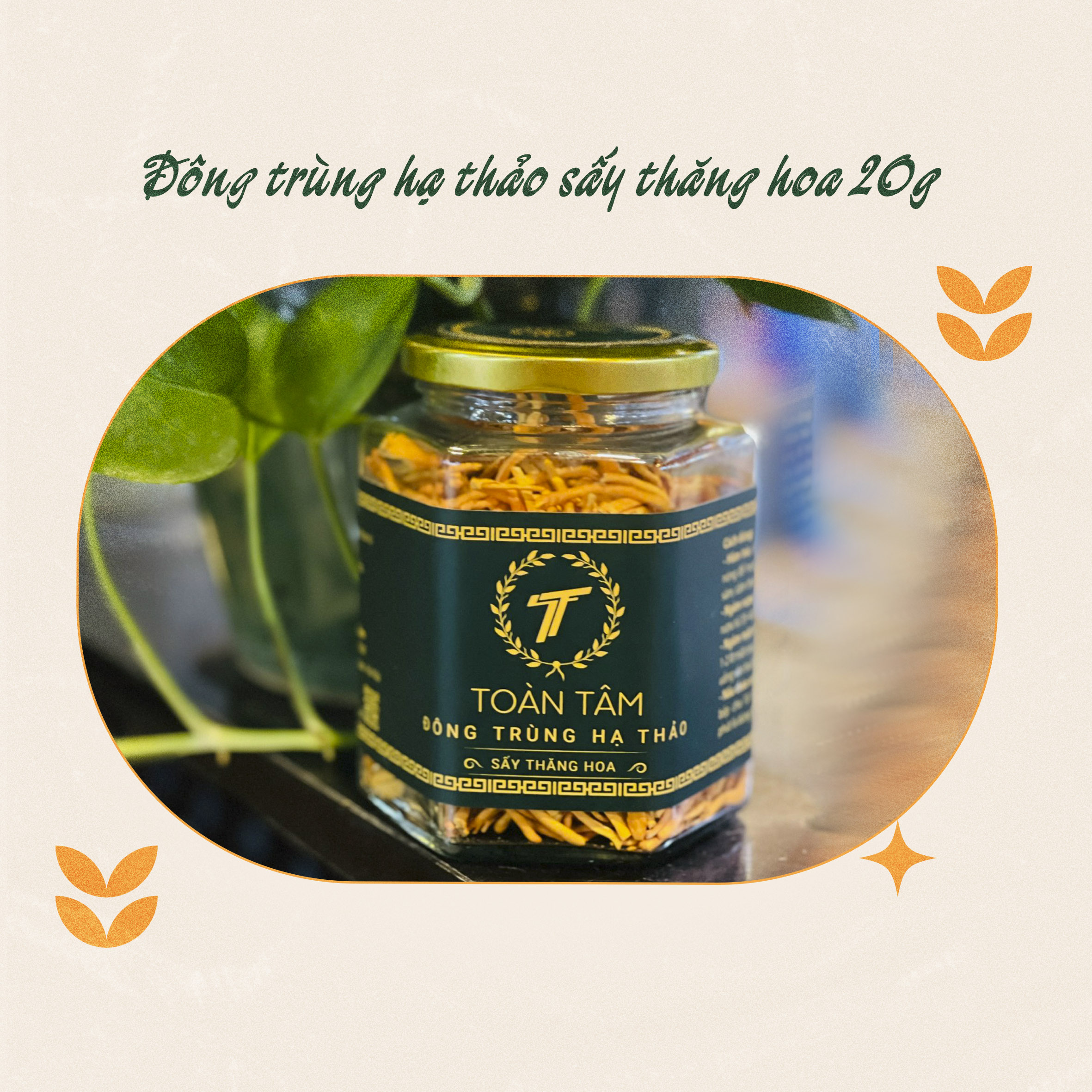 ĐÔNG TRÙNG HẠ THẢO SẤY THĂNG HOA  TOÀN TÂM