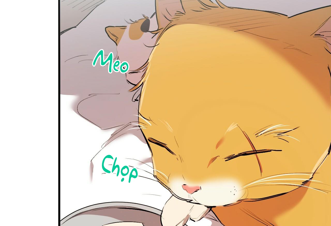 đàn thỏ của habibi chapter 32 71