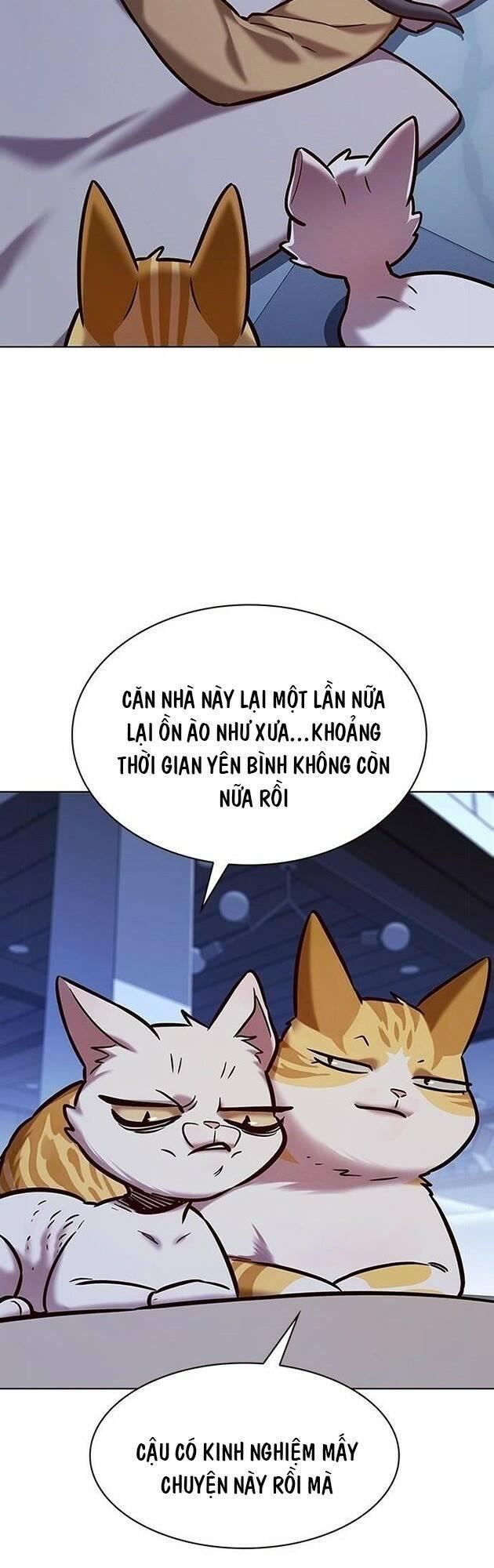 biến thân thành mèo chapter 229 45