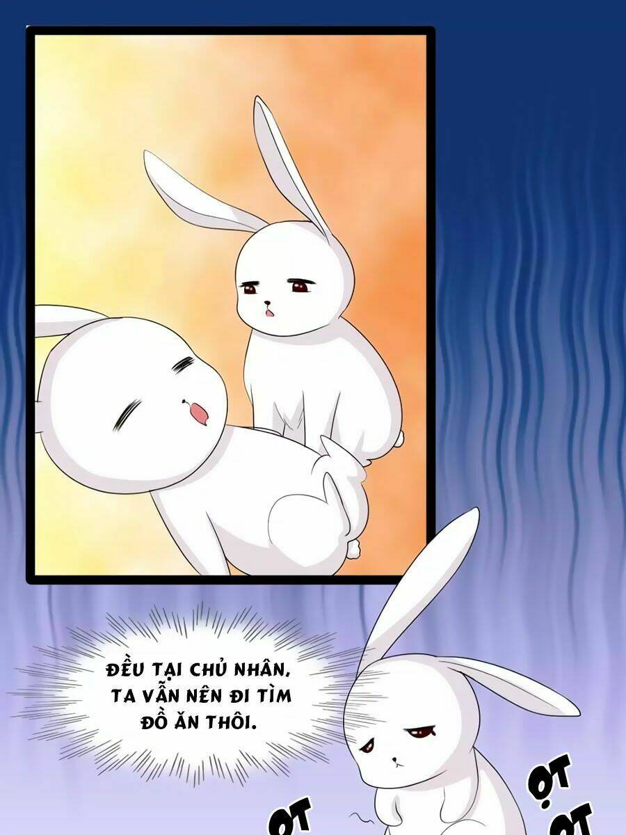 thỏ yêu tiểu vương phi chapter 113 6