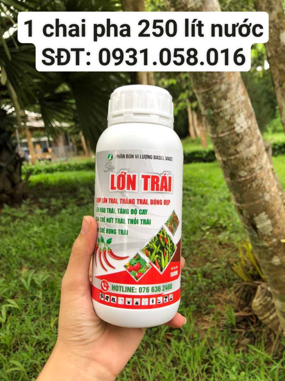 Phân bón lá chuyên ớt - SIÊU LỚN TRÁI 500ML