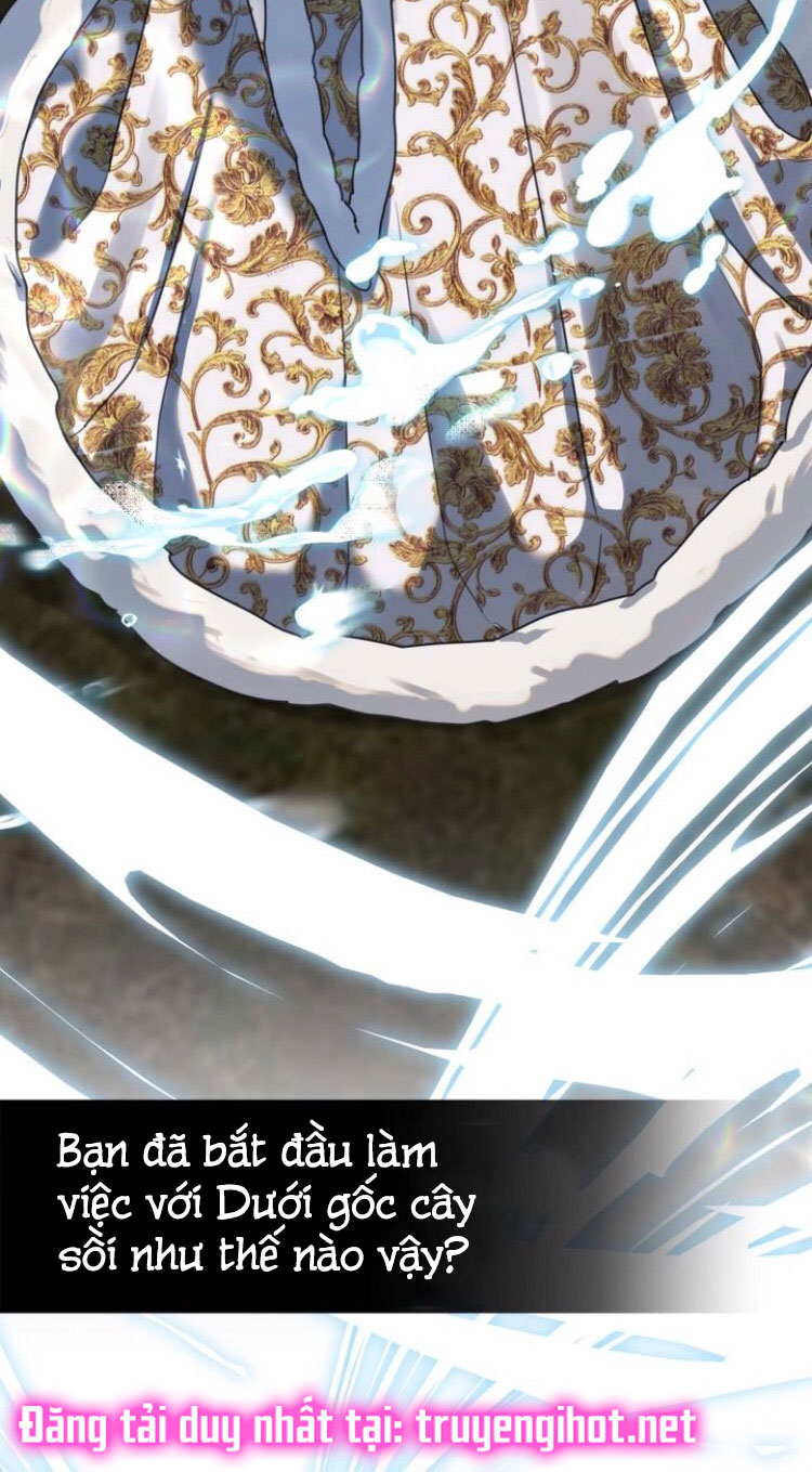 Dưới Bóng Cây Sồi Interview 9