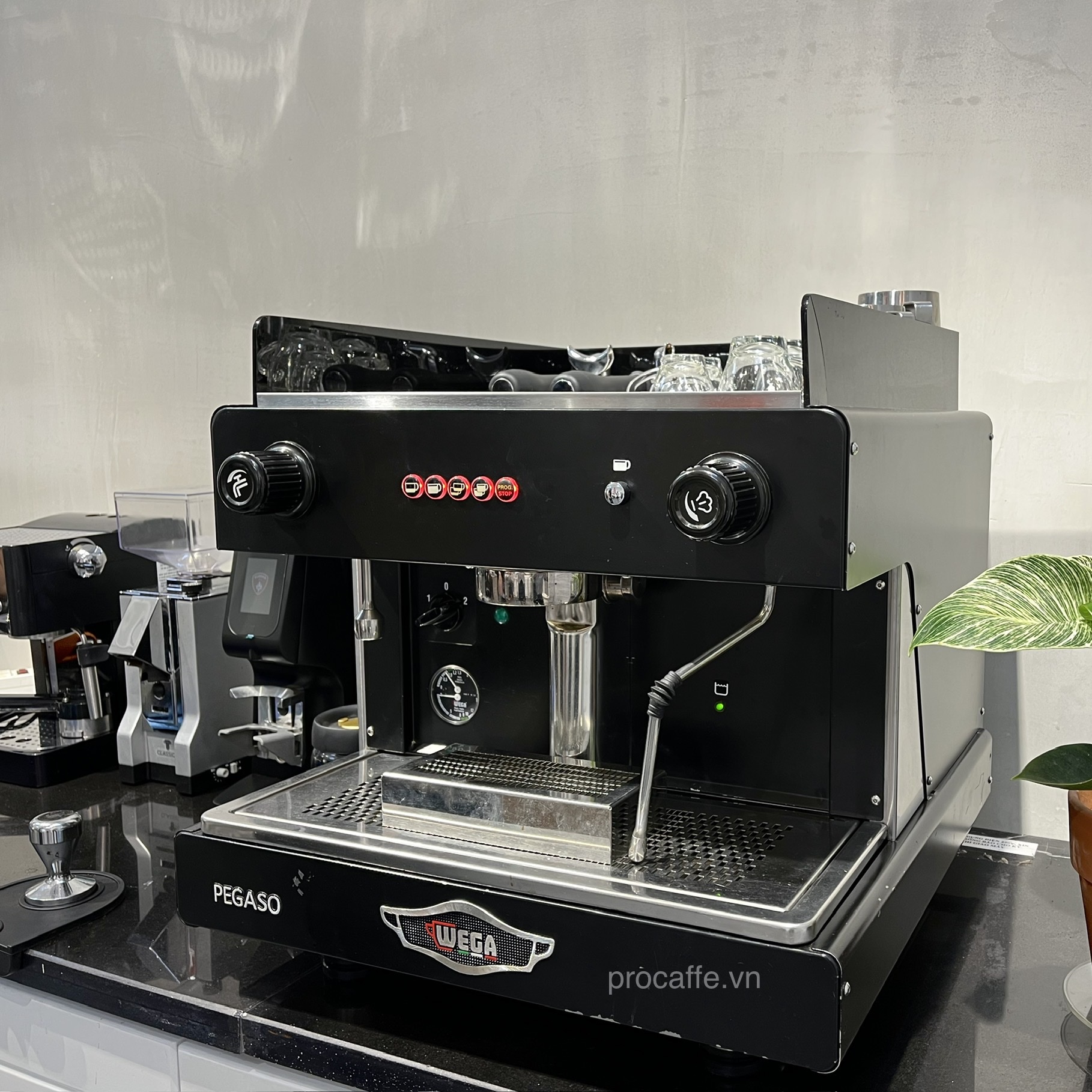 [Combo máy pha, máy xay cà phê] - Wega Pegaso 1 group và Eureka Firenze 75 - Hàng nhập khẩu chính hãng