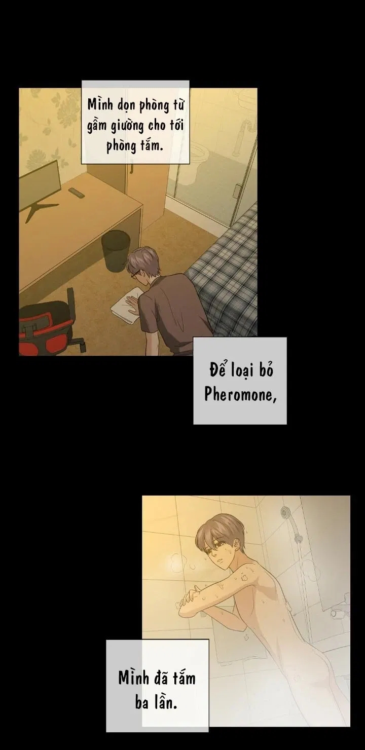 bí mật của omega k chapter 17 5