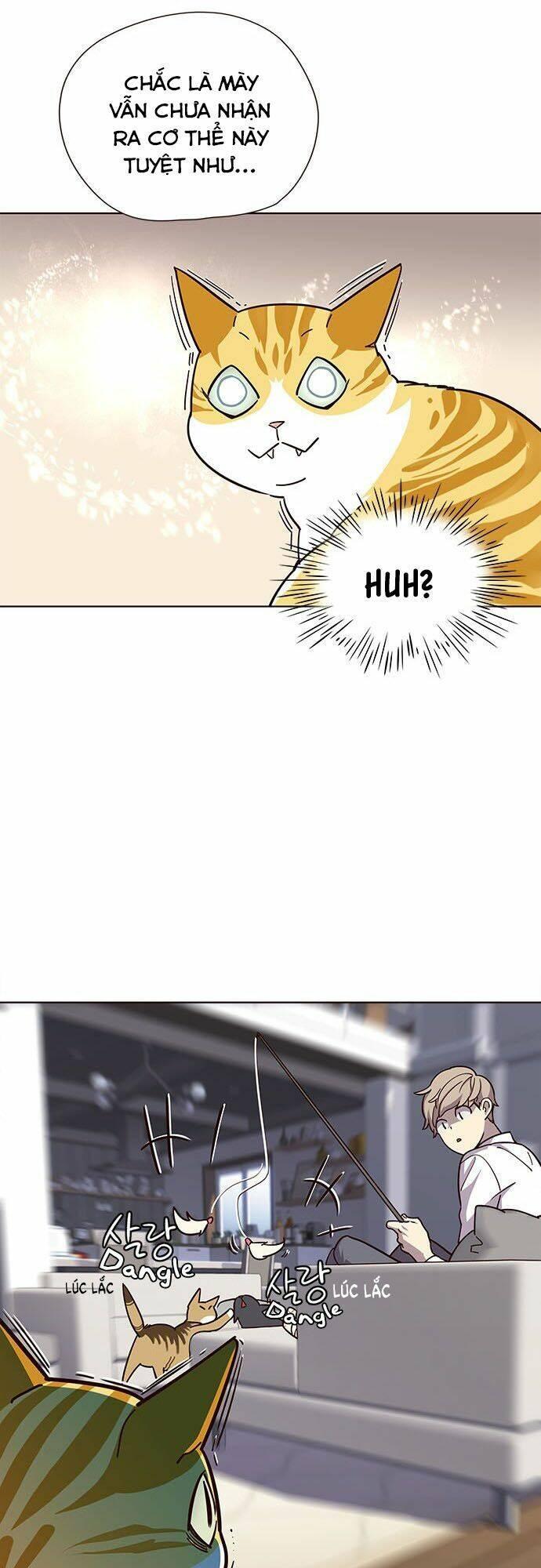 biến thân thành mèo chapter 16 19