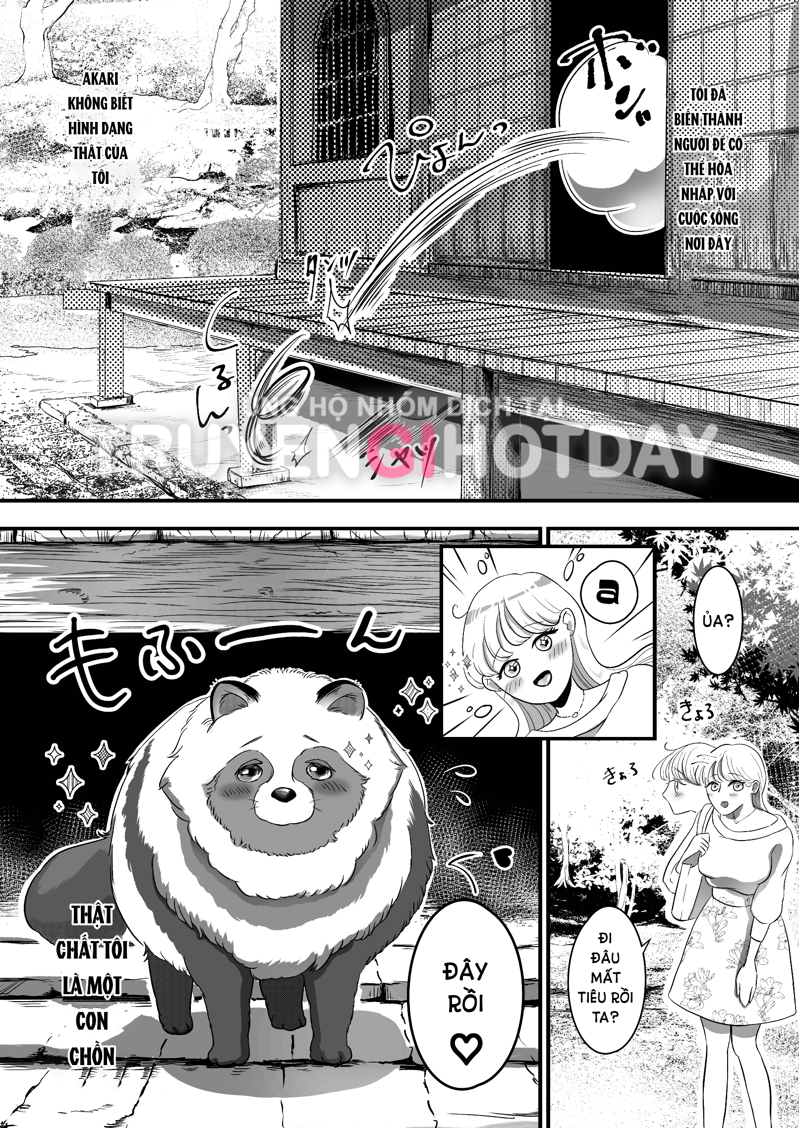 [21+] vị sư trụ trì đẹp trai yashima thật chất là một dã thú tàn bạo, nổi máu s với người đã khiêu khích lòng đố kị của hắn chapter 1.1 5