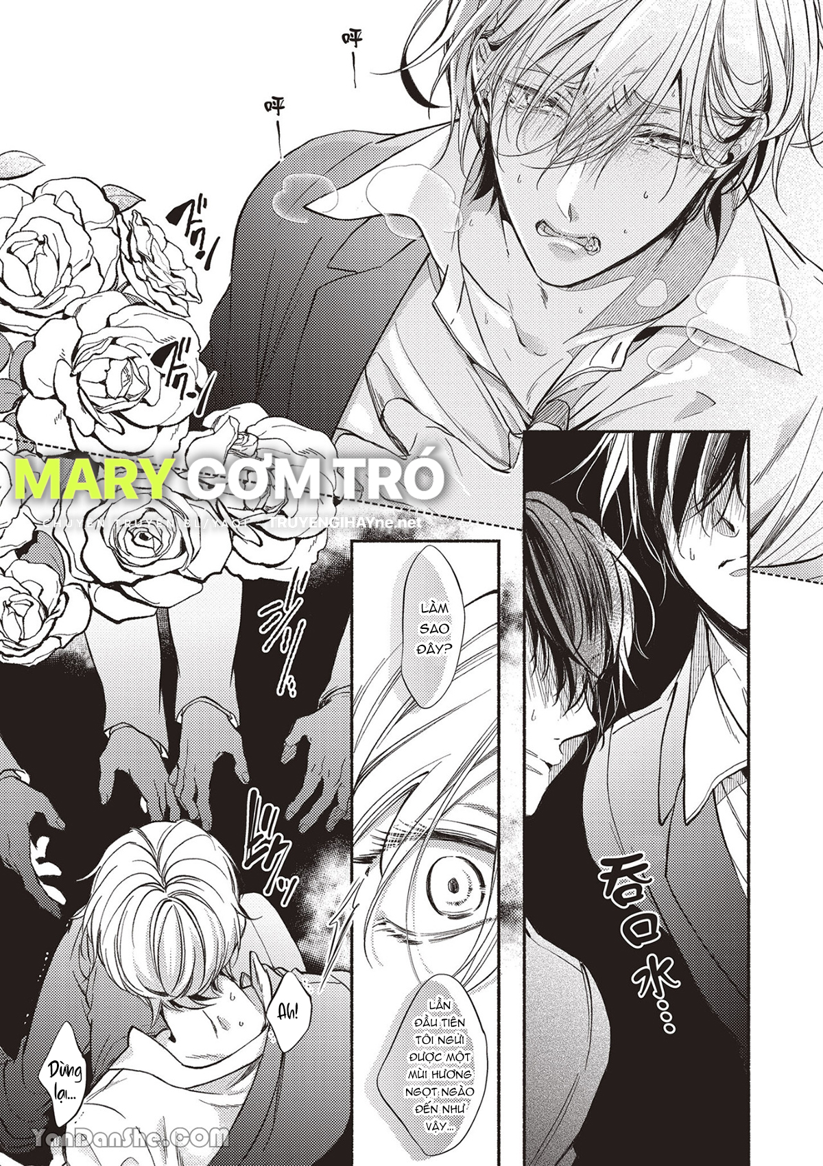 omega mạnh mẽ là bạn đời của chúng tôi chapter 1.1 11