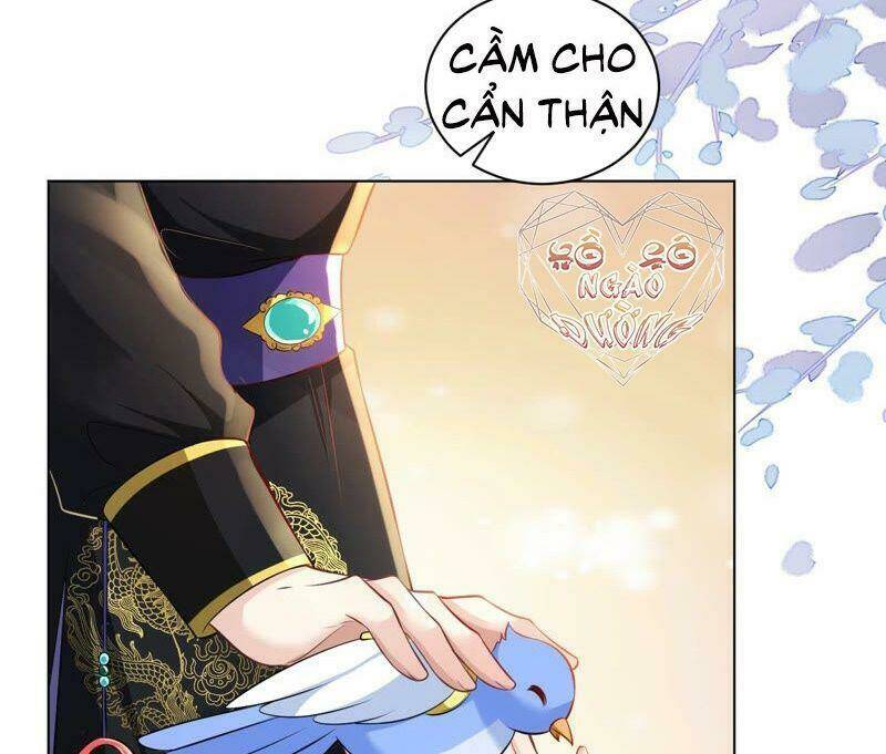 quận chúa vững vàng, thiết lập nhân vật không thể vỡ chapter 44 57