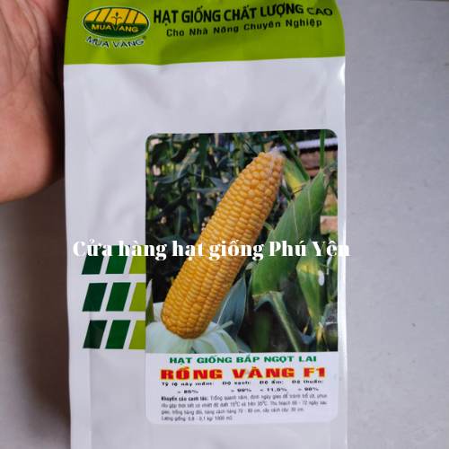1 kg Hạt giống bắp ngọt rồng vàng F1 trái to