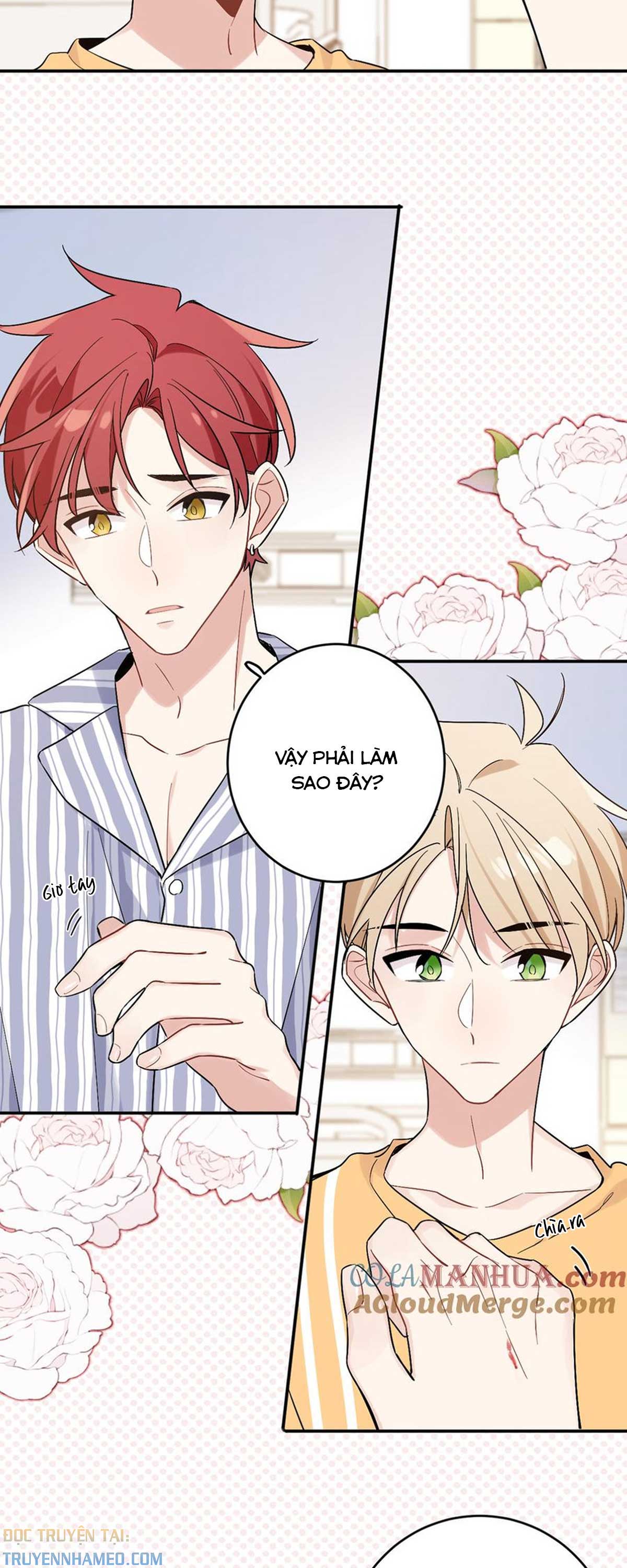 Tôi Nên Làm Gì Khi Bạn Cùng Nhà Là Tình Địch? chapter 26