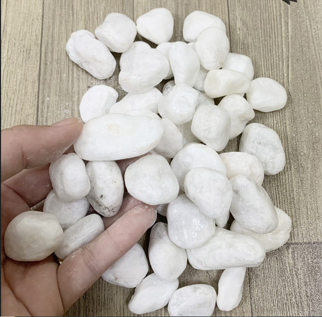 Đá sỏi trang trí chậu cây -  Đá sỏi trắng trang trí hồ cá, đá trắng to lót nền sân vườn