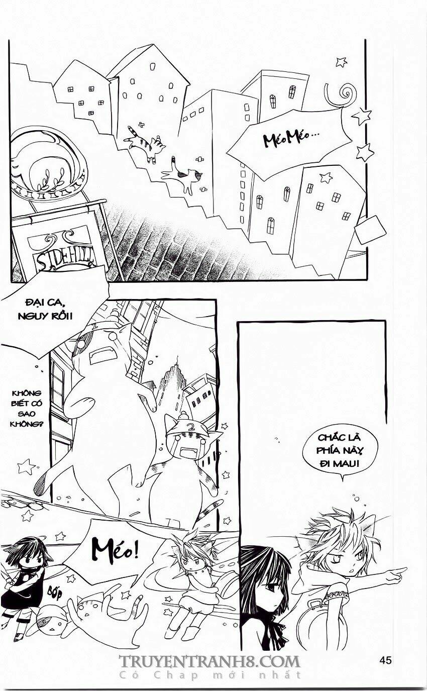 những ngày tươi đẹp chapter 11 5