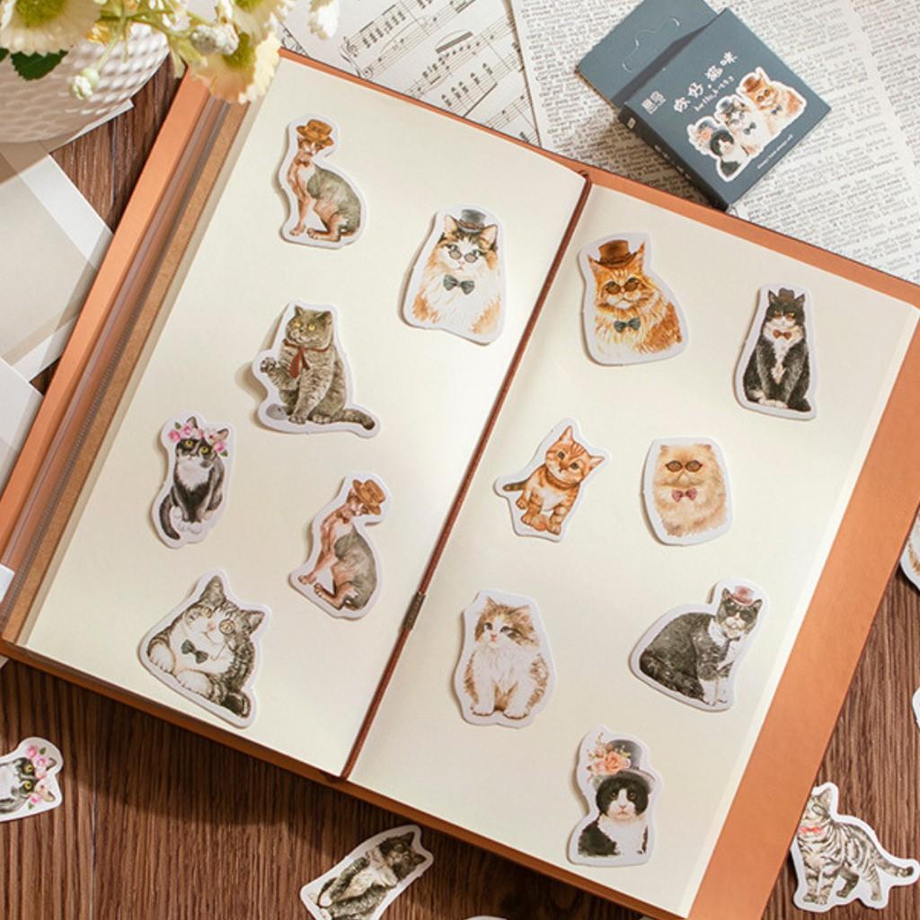 Hộp 46 Miếng dán Sticker trang trí chủ đề Loài Mèo Đáng Yêu Box Sticker ST468