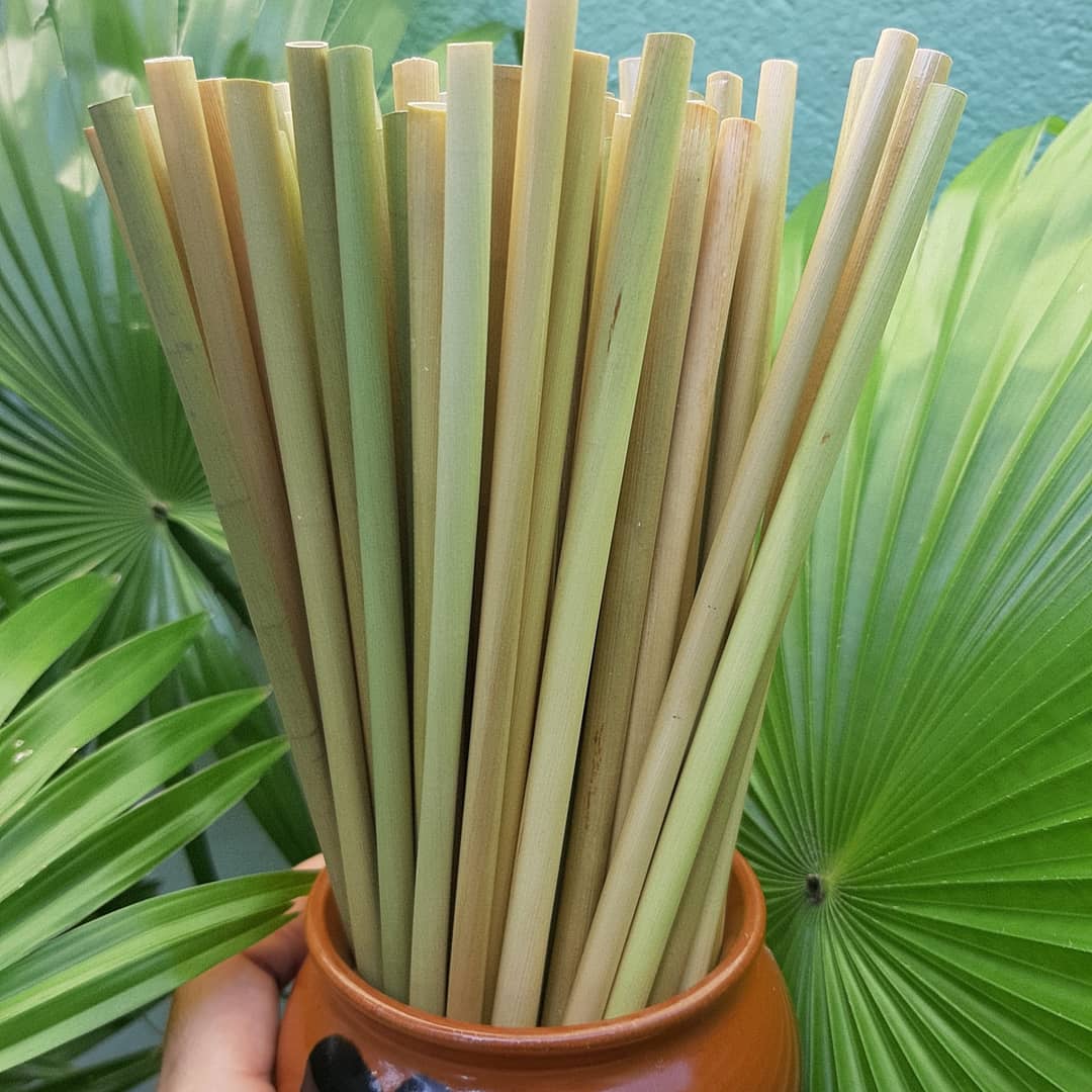 Ống hút cỏ bàng sấy khô - Grass straws - 100 ống
