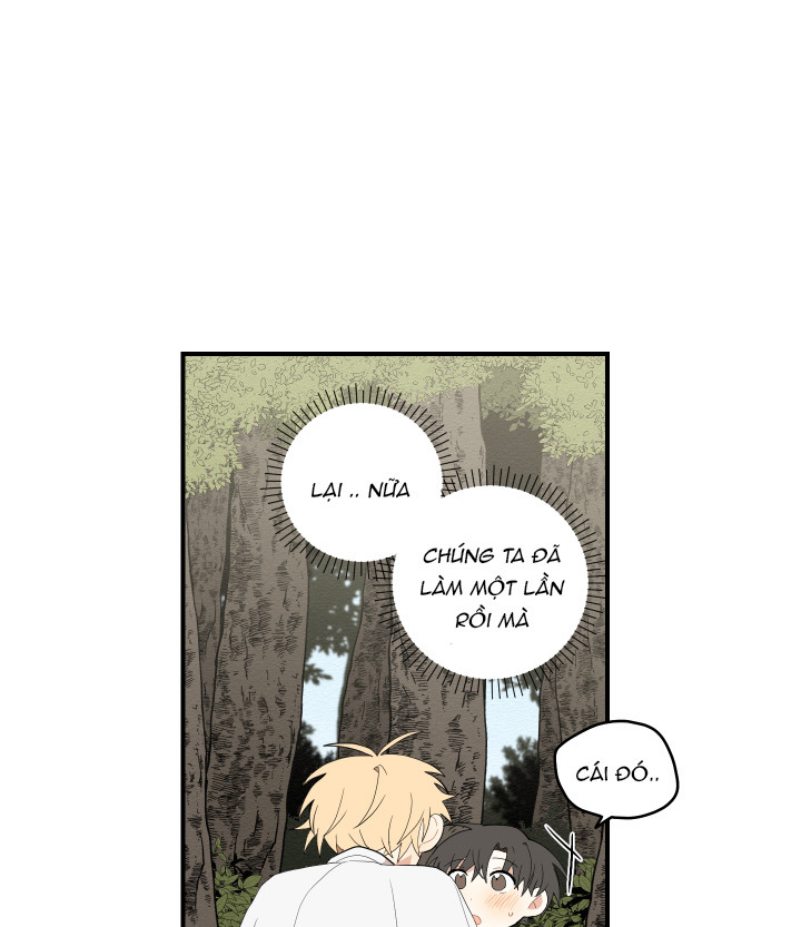 đường hoa liên kiều rơi chapter 19 18