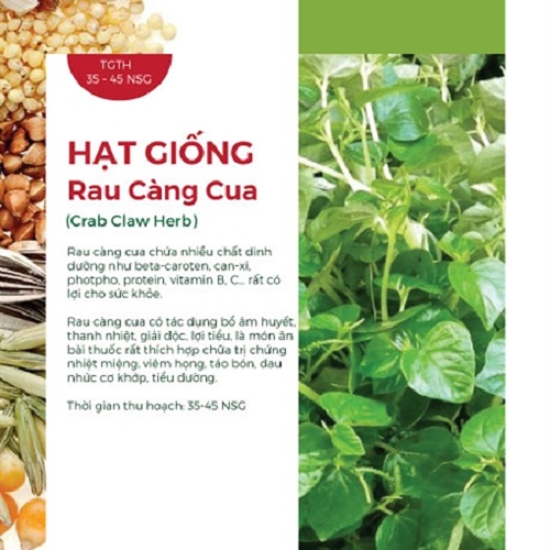 Hạt Giống Rau Càng Cua (0.5gr)