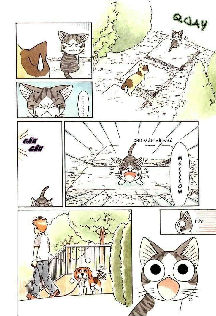 chi's sweet home chapter 85 8