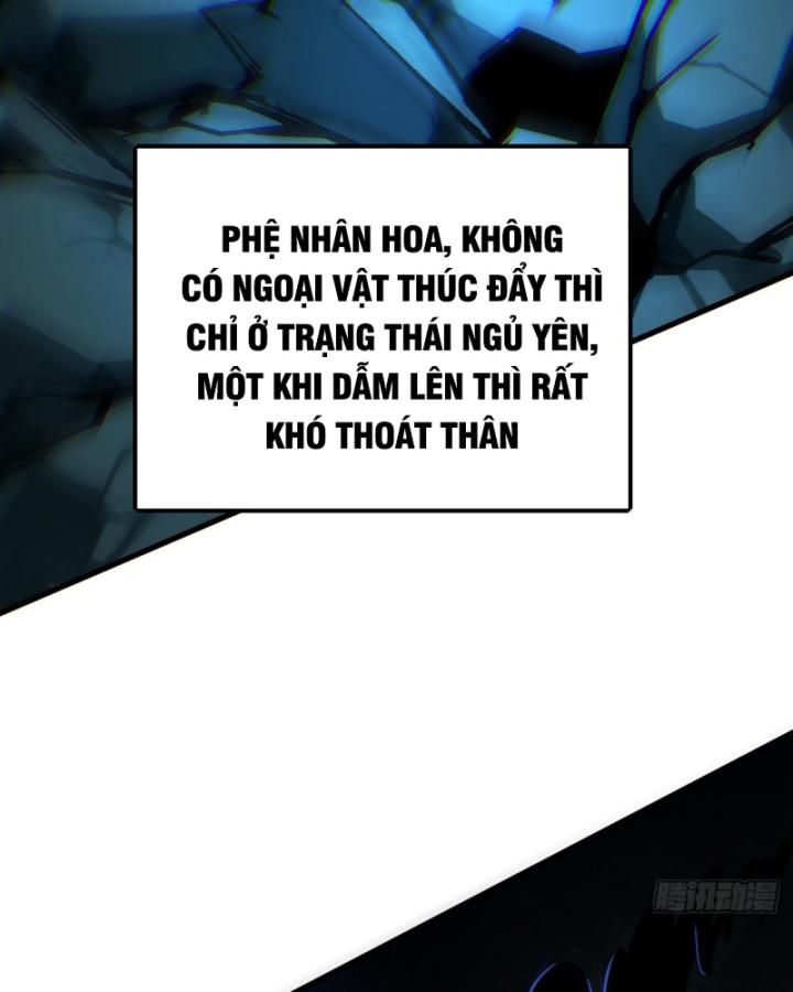 ta, chúa tể rừng xanh chapter 2 104