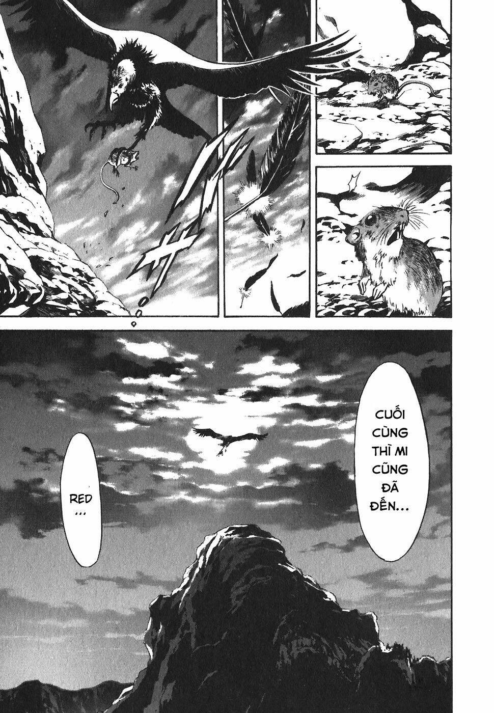 red living on the edge - người da đỏ lang thang chapter 150 1
