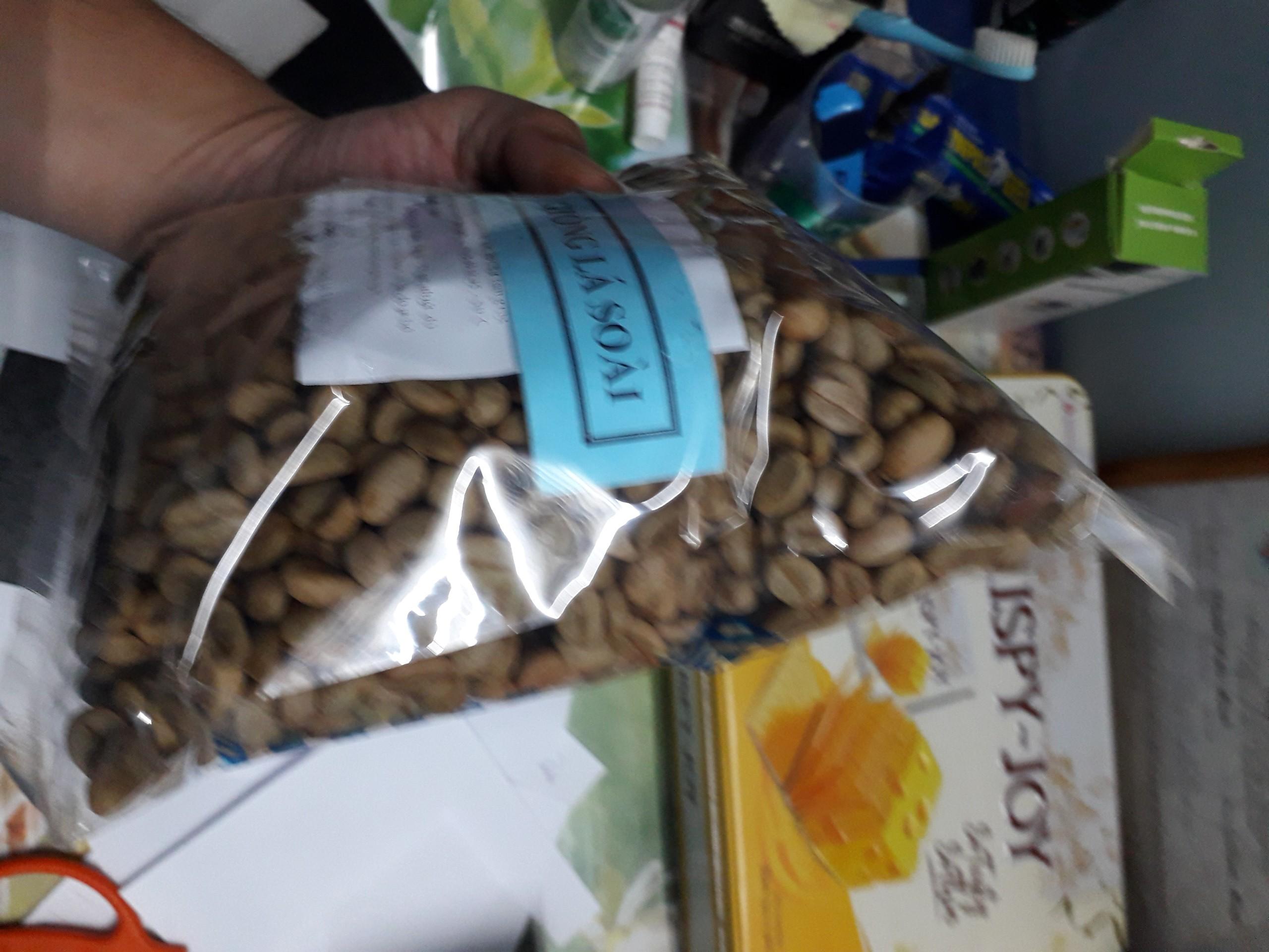 500 gram Hạt giống Cà Phê VỐI CAO SẢN Lá Xoài  . KÈM HƯỚNG DẪN ƯƠM]