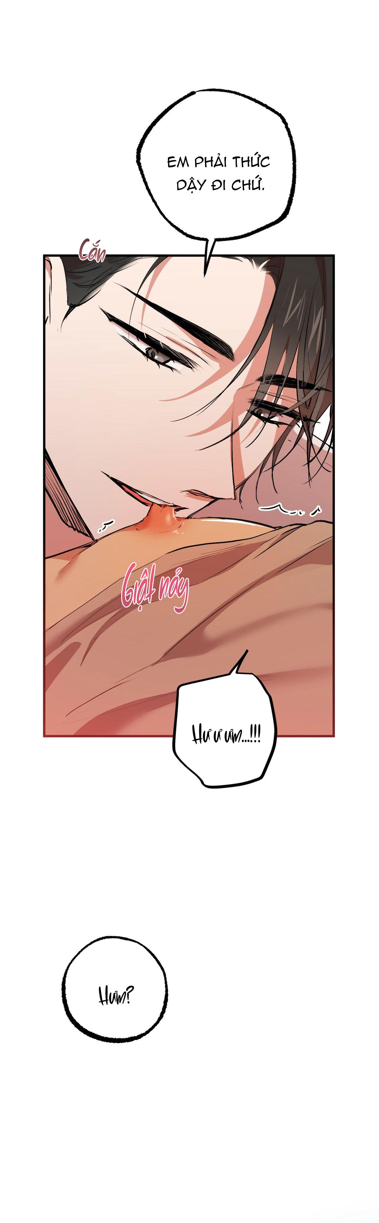 những chú thỏ của hapypy chapter 33 8