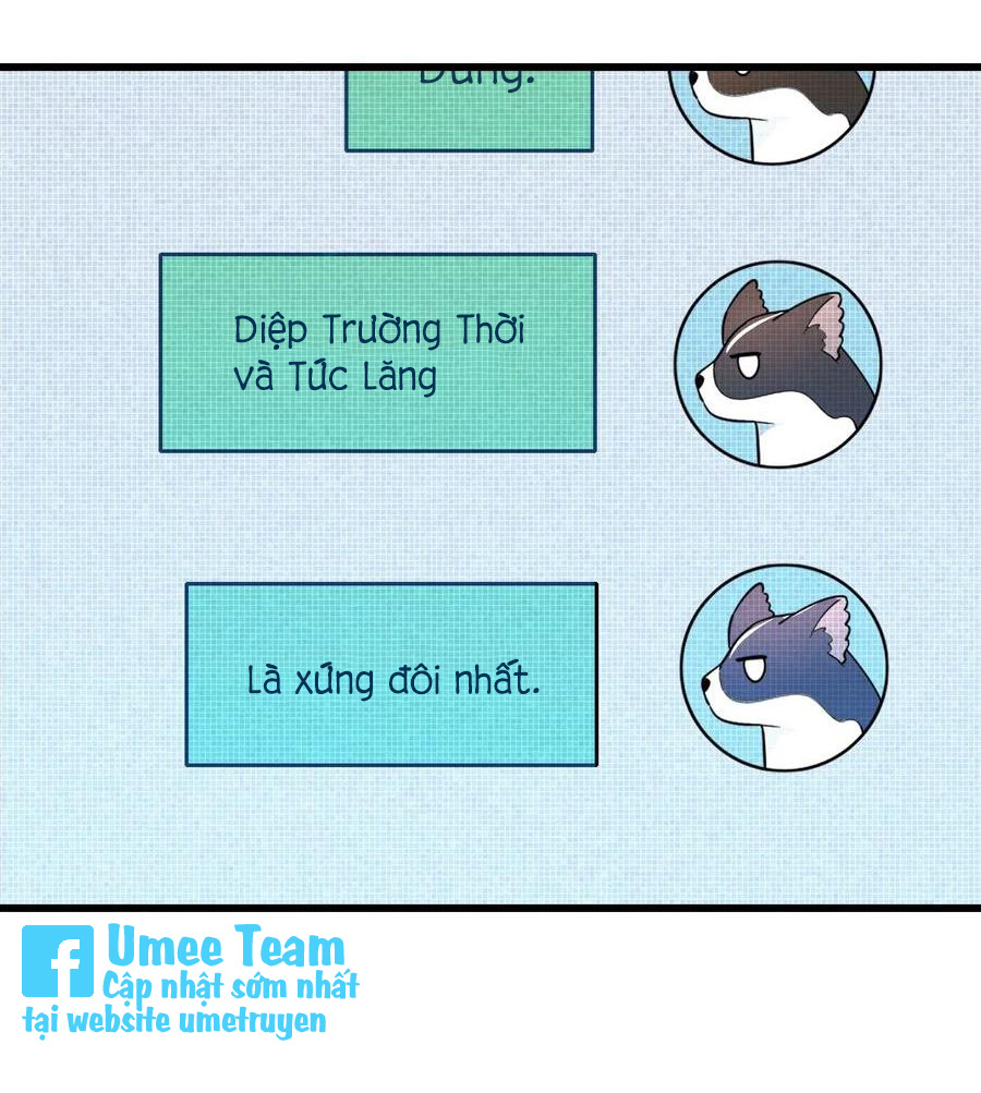 tức thời phạm quy [ tức thì vi quy ] chapter 37 36