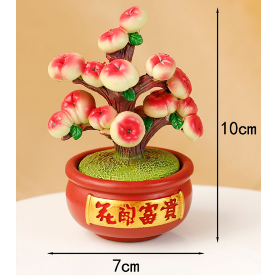 Chậu đào trường thọ 10cm