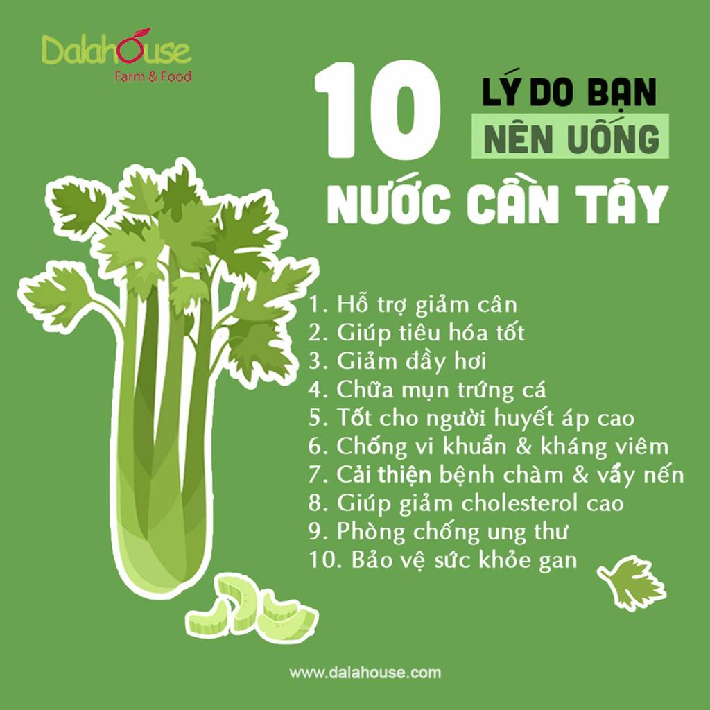 Bột cần tây sấy lạnh nguyên chất Dalahouse 60gr công nghệ sấy lạnh tiêu chuẩn Châu Âu