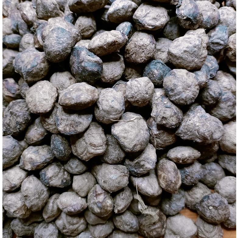 200 gram hạt giống sấu