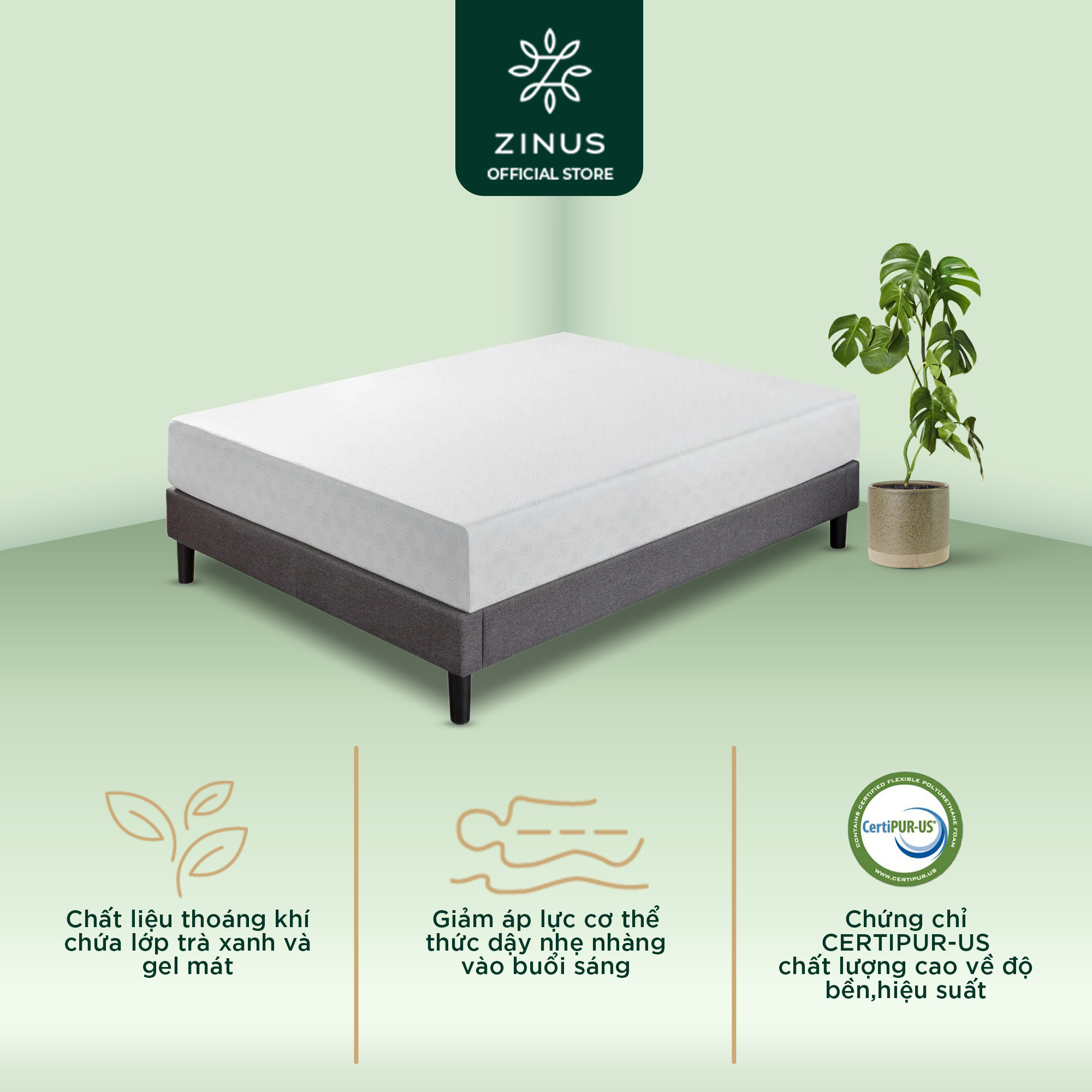 Nệm foam cuộn hút chân không Gel Mát cao cấp Zinus - Gel-Infused Foam Mattress 25cm