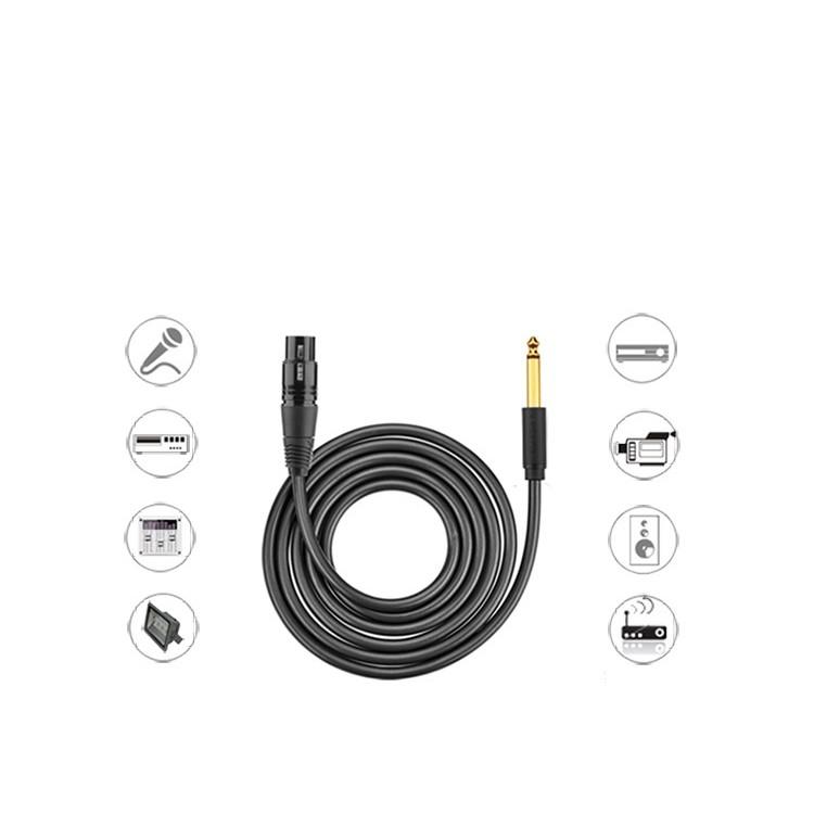 Cáp chuyển đổi từ 6.5mm sang AV Cannon (XLR) âm cho microphone, stereo, mixer, amplifier UGREEN AV131 - Hàng chính hãng