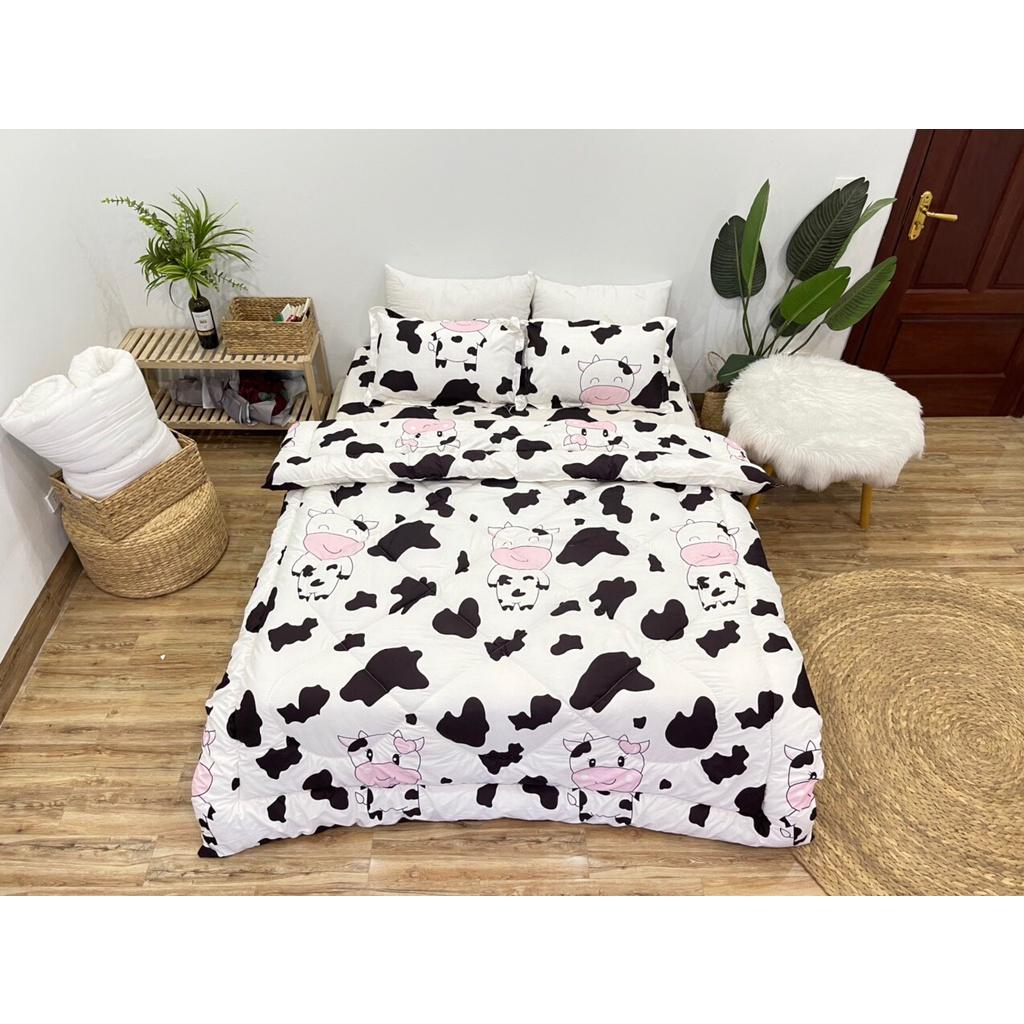 Bộ Chăn Ga Gối 5 Món Cotton Poly Mẫu Siêu Đẹp Chăn Chần Bông 2021